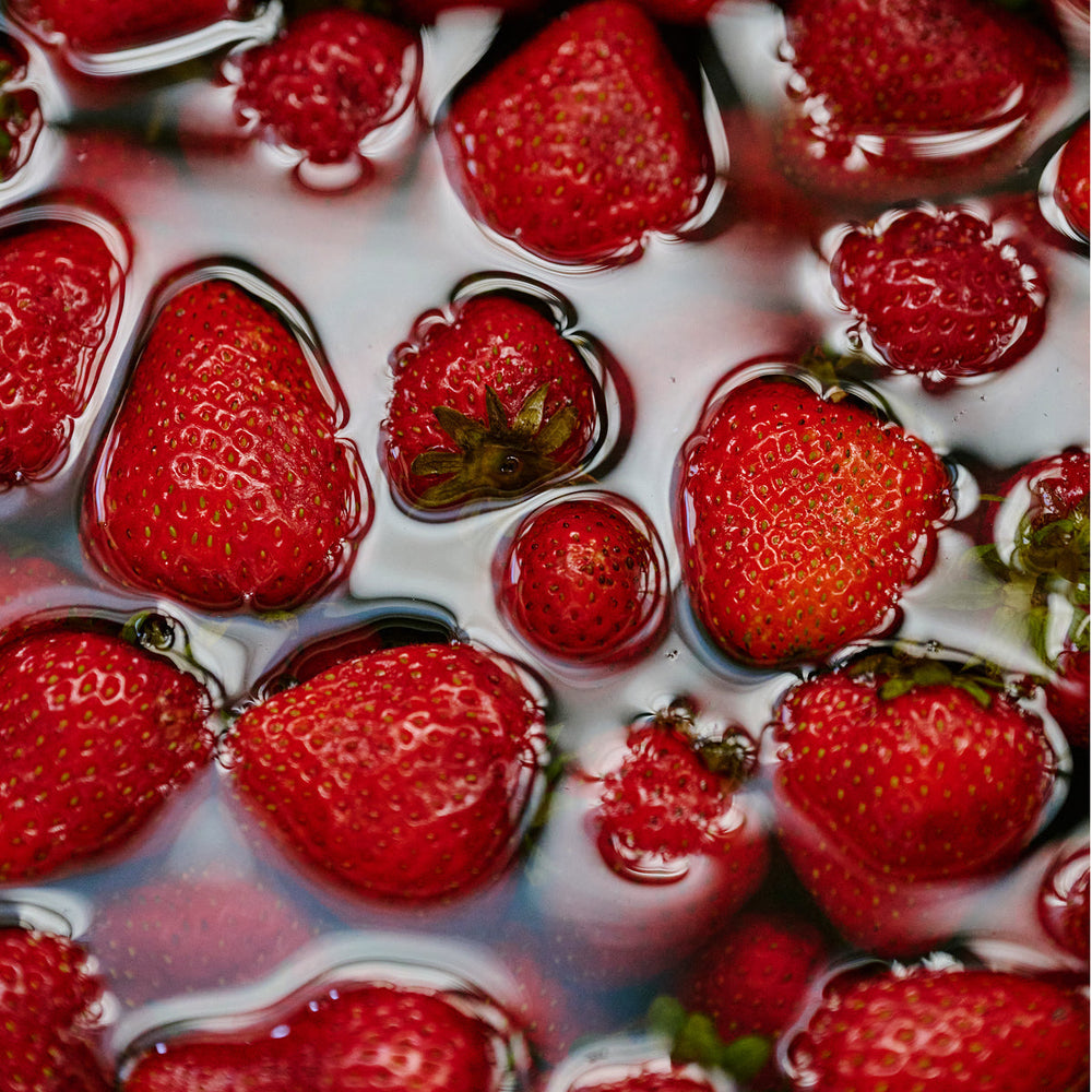 On Rotation: What’s in your kid’s lunch box?