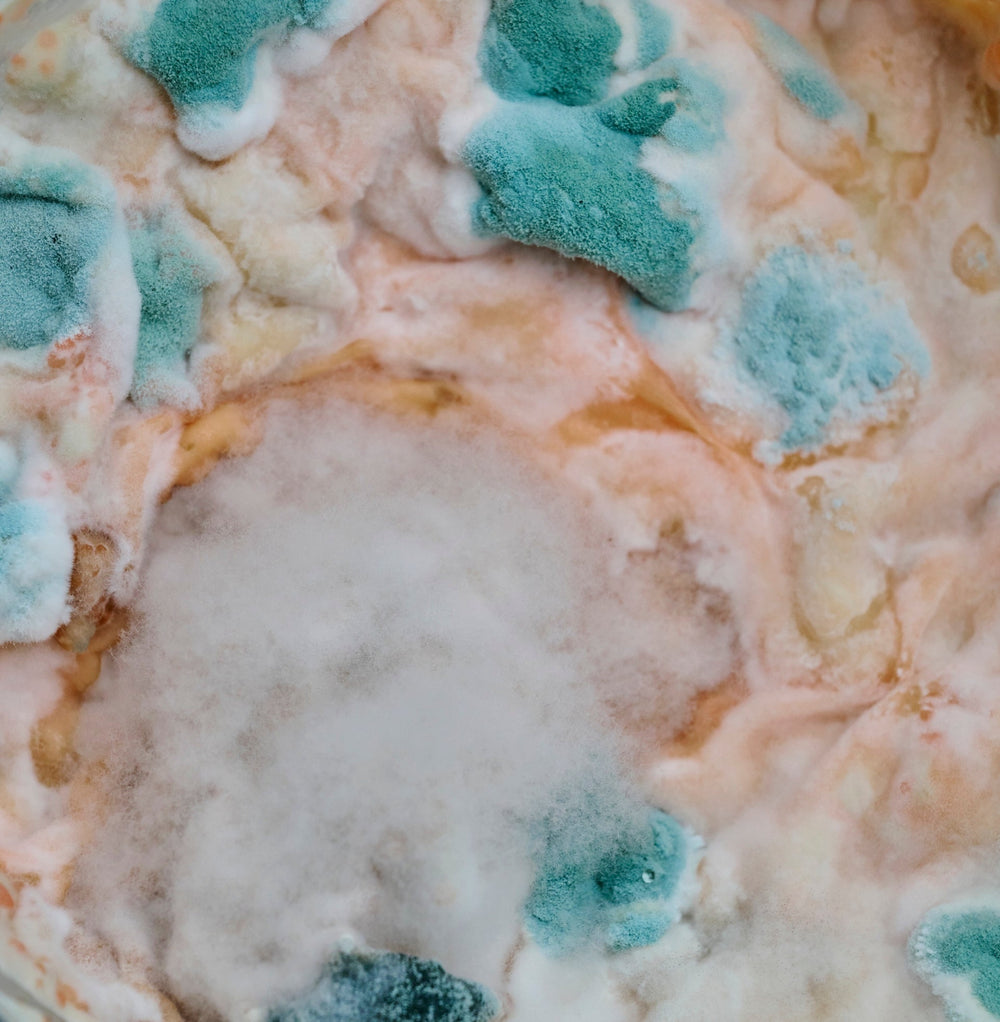 Ask Dr. Frame: On Pre-, Pro- and Postbiotics