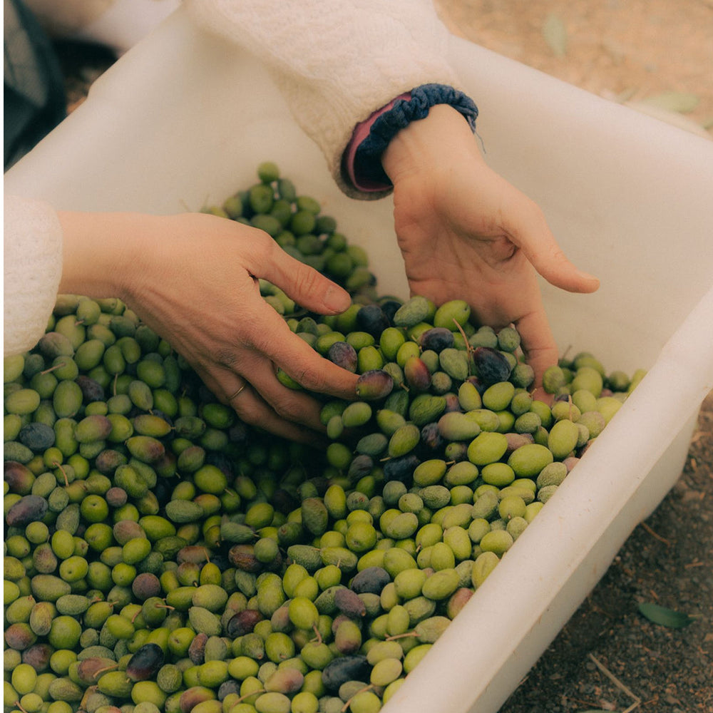 When Cosmic Forces Are at Play to Unearth Soil Magic